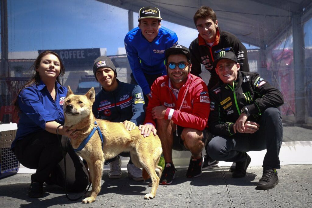 Και οι σκύλοι γουστάρουν το MotoGP! (vid) | sports365.gr